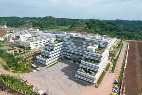 跨江越線筑精品 一軌飛架連雙城 軌道交通資陽線車站正式亮相