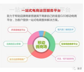 電商saas 運(yùn)營(yíng)是不可比擬的優(yōu)勢(shì)