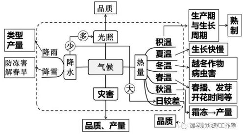 高中地理農(nóng)業(yè)區(qū)位條件及其影響 我國(guó)農(nóng)業(yè)地理地圖 世界主要農(nóng)業(yè)地域類(lèi)型知識(shí)詳解,附農(nóng)業(yè)生產(chǎn)與鄉(xiāng)村發(fā)展