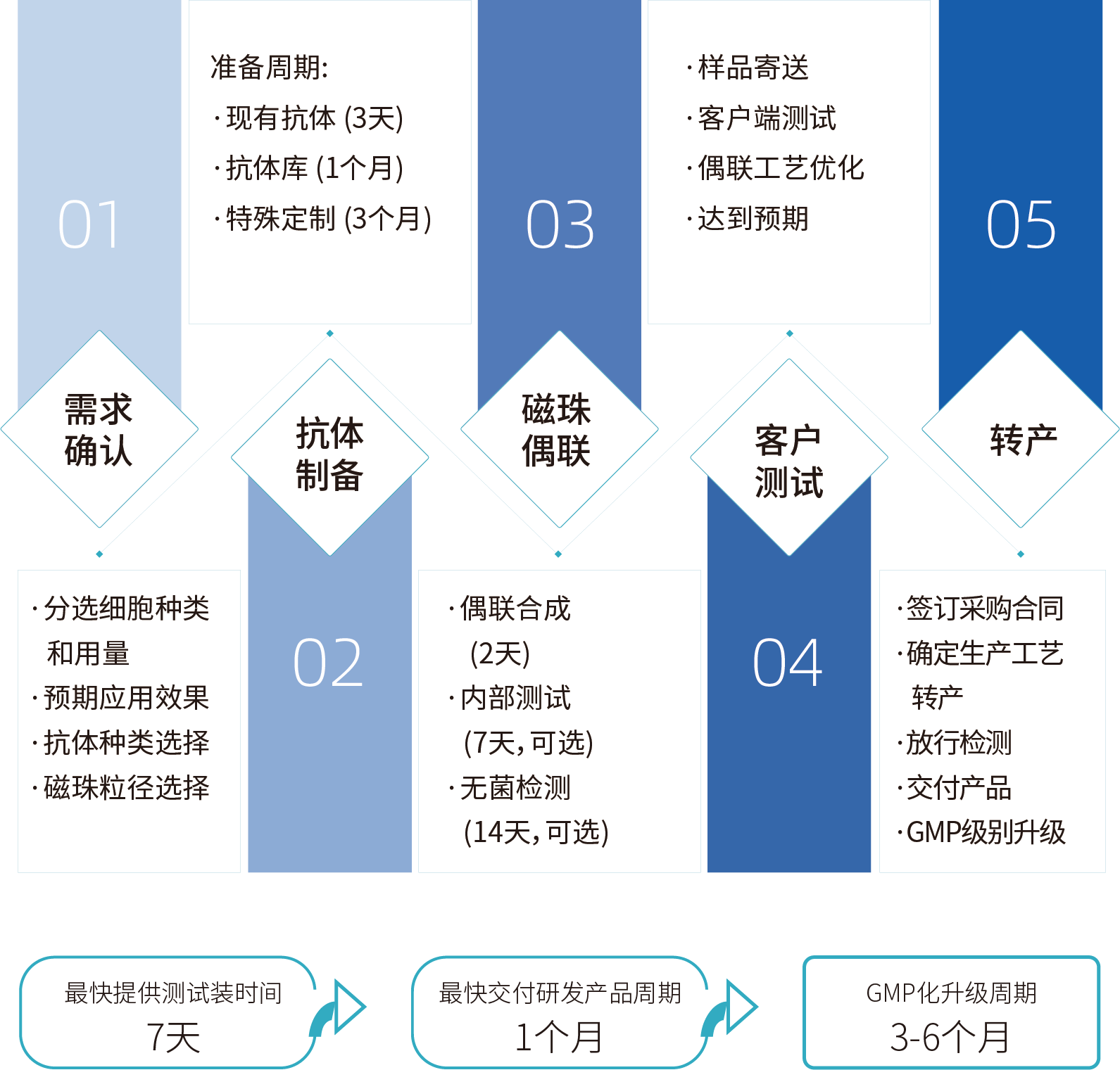 ga黃金甲娛樂平臺網站細胞分選激活磁珠/分選磁珠定制，定制流程
