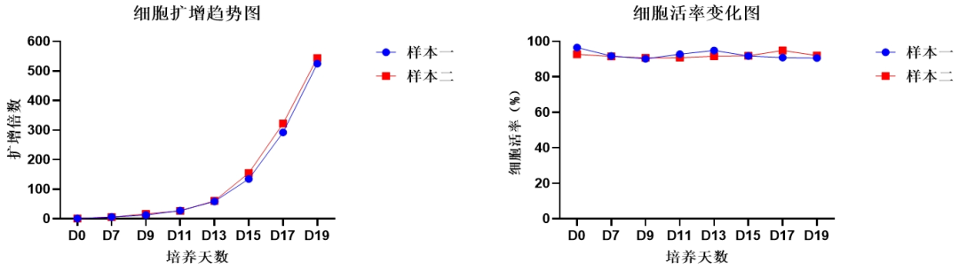 ga黃金甲娛樂平臺網站,NK試劑盒套裝3.0,臍血NK細胞培養,NK細胞培養