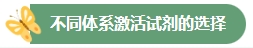 ga黃金甲娛樂平臺網站-快速制備CAR-T細胞工藝實操訓練營『精彩回顧』